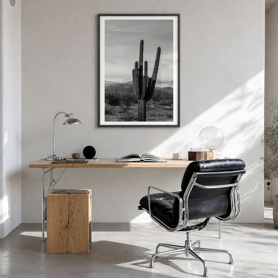 Phoenix Photo No 1 Poster in a black wood frame, hanging in a bright home office, white border