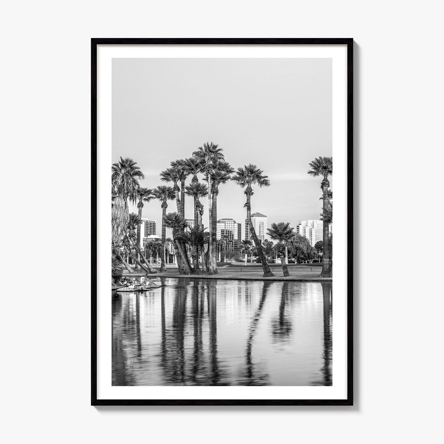 Phoenix Photo No 2 Poster, framed poster mockup, white border
