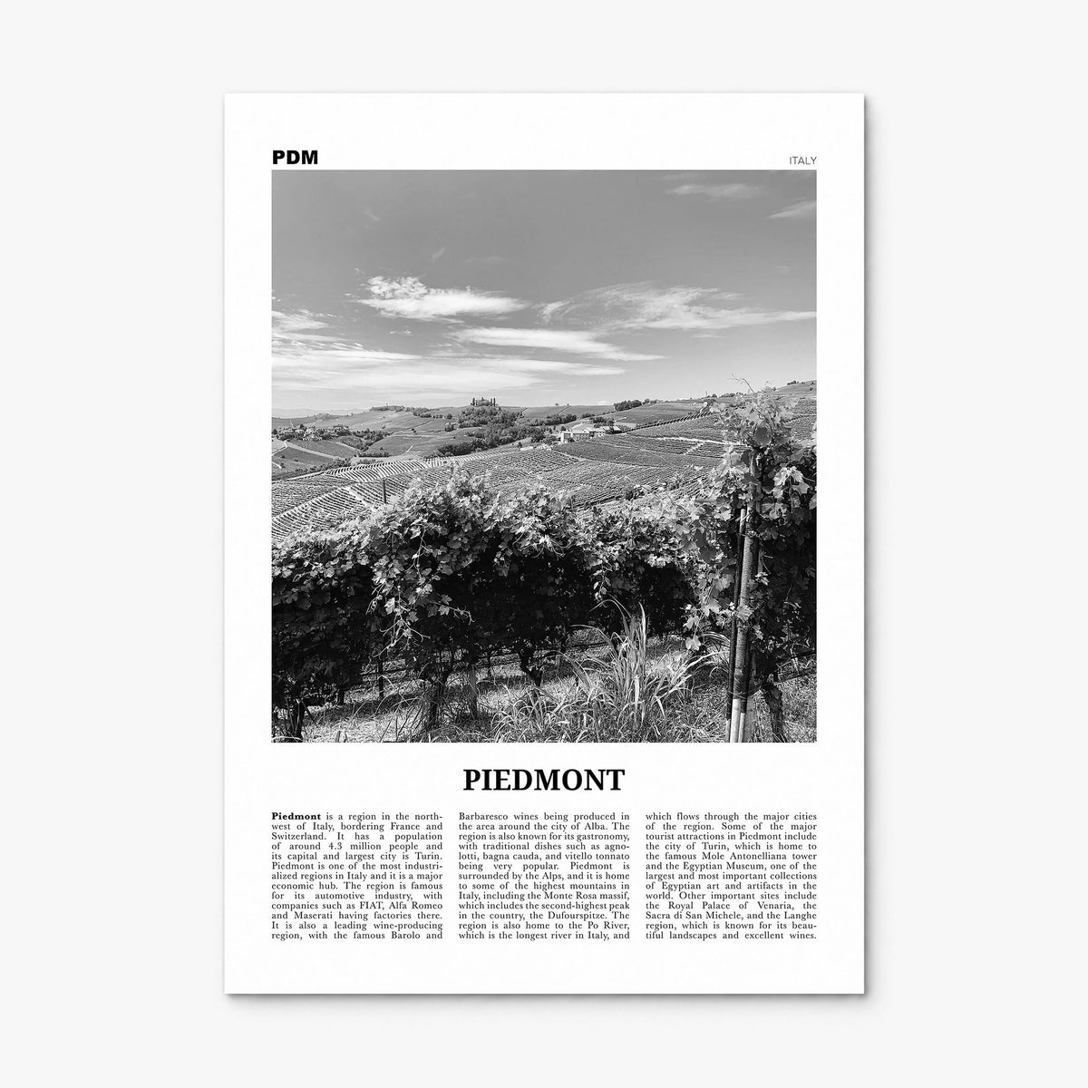 Piedmont Newspaper Poster, print only (unframed)