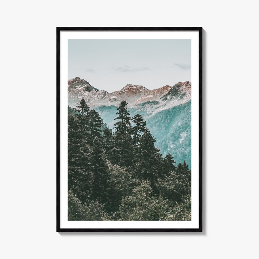 Pine Tree Forest colorful photo poster – vertical wall art, unframed print shown in interior mockup