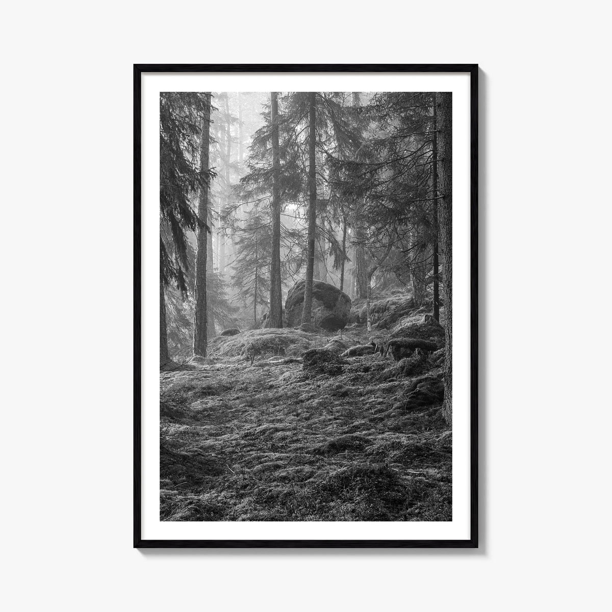 Pine Tree Forest no. 2 black & white photo poster – vertical wall art, unframed print shown in interior mockup