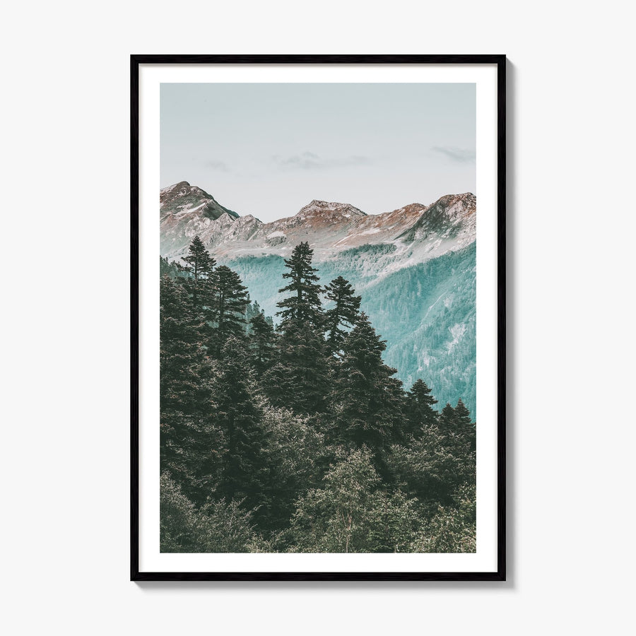 Pine Tree Forest Photo Poster, framed poster mockup, white border