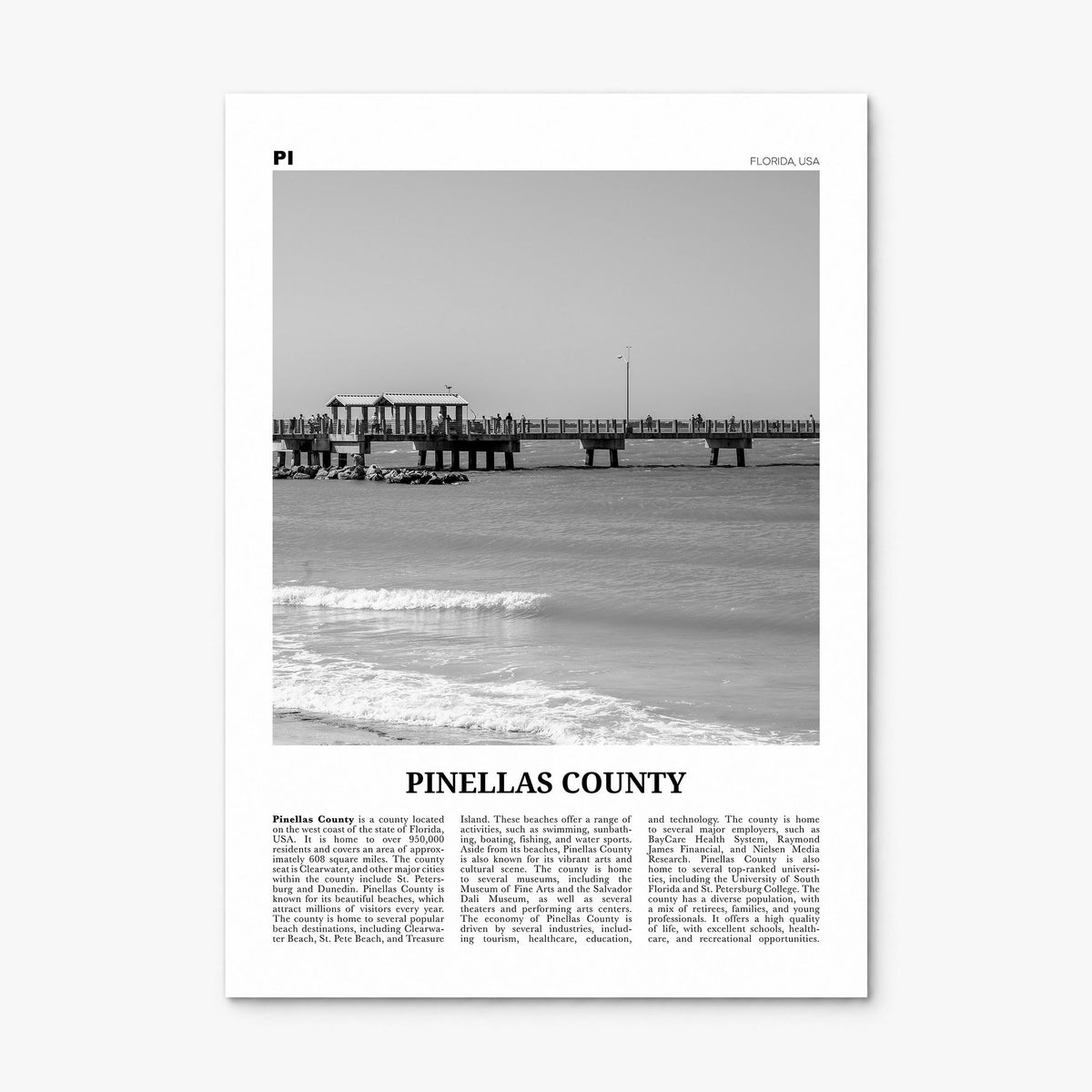 Pinellas County Newspaper Poster, print only (unframed)