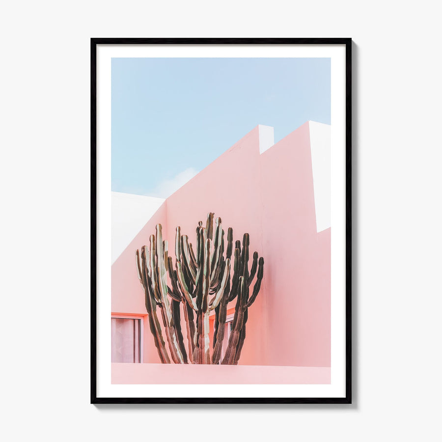 Plants on Pink Photo Poster, framed poster mockup, white border