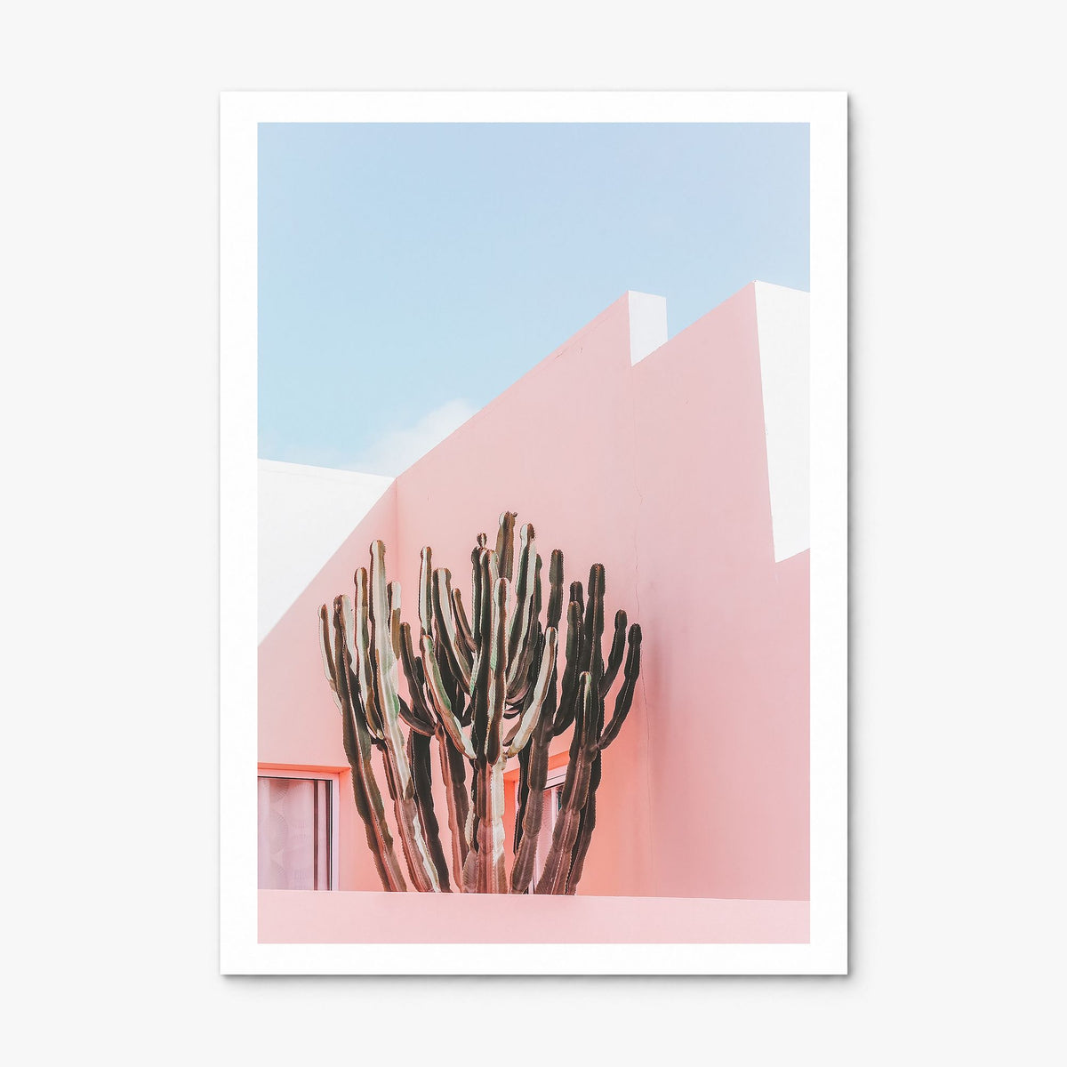 Plants on Pink Photo Poster, print only (unframed), white border