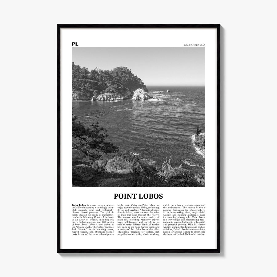 Point Lobos Newspaper Poster, framed poster mockup