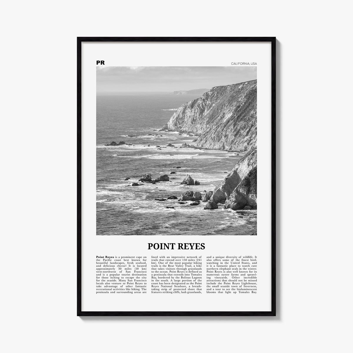 Point Reyes black & white newspaper poster of California, USA – vertical wall art, unframed print shown in interior mockup