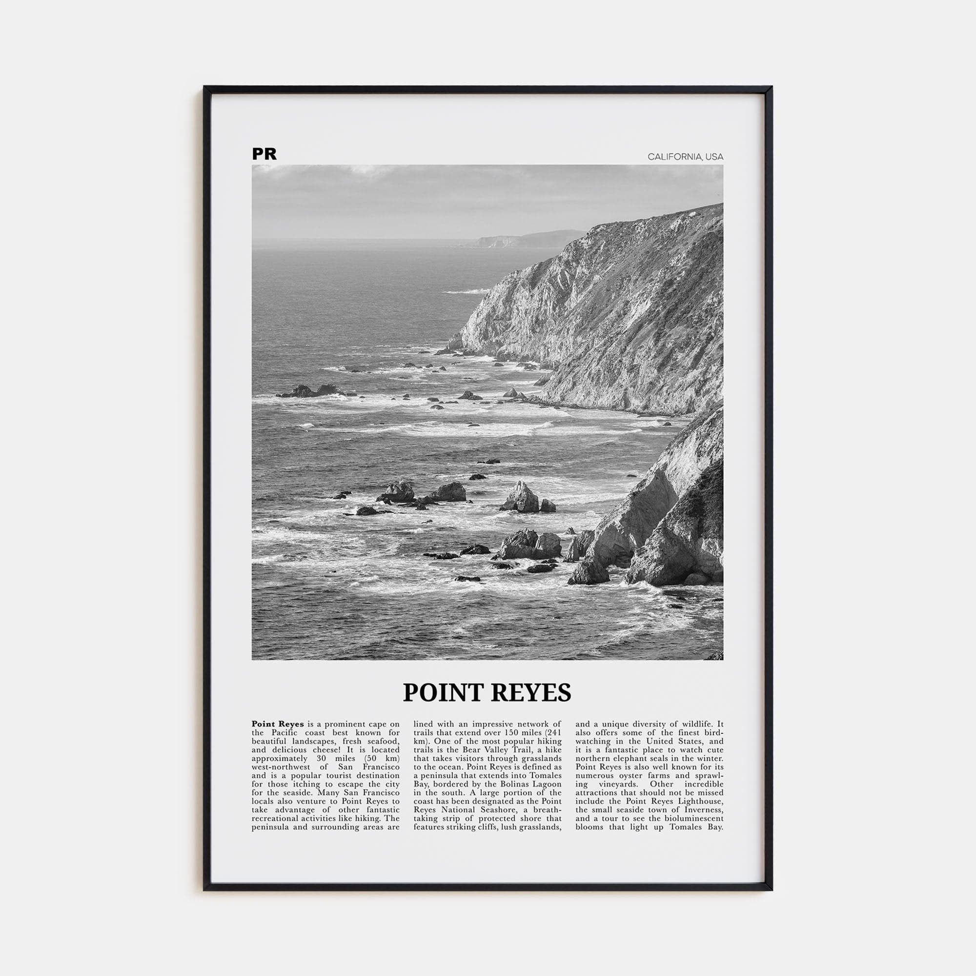 Point Reyes Poster None / 8x12 in Nbourhood Travel B&W Poster