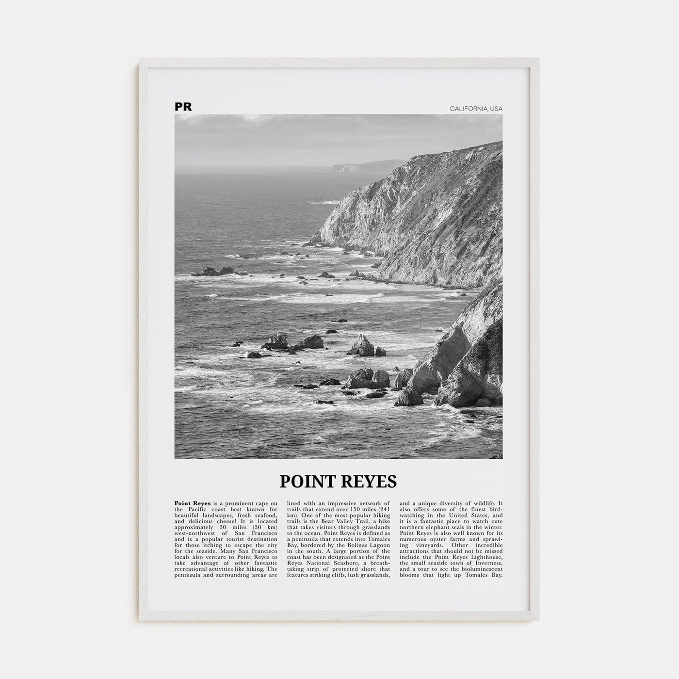 Point Reyes Poster White Wood / 8x12 in Nbourhood Travel B&W Poster