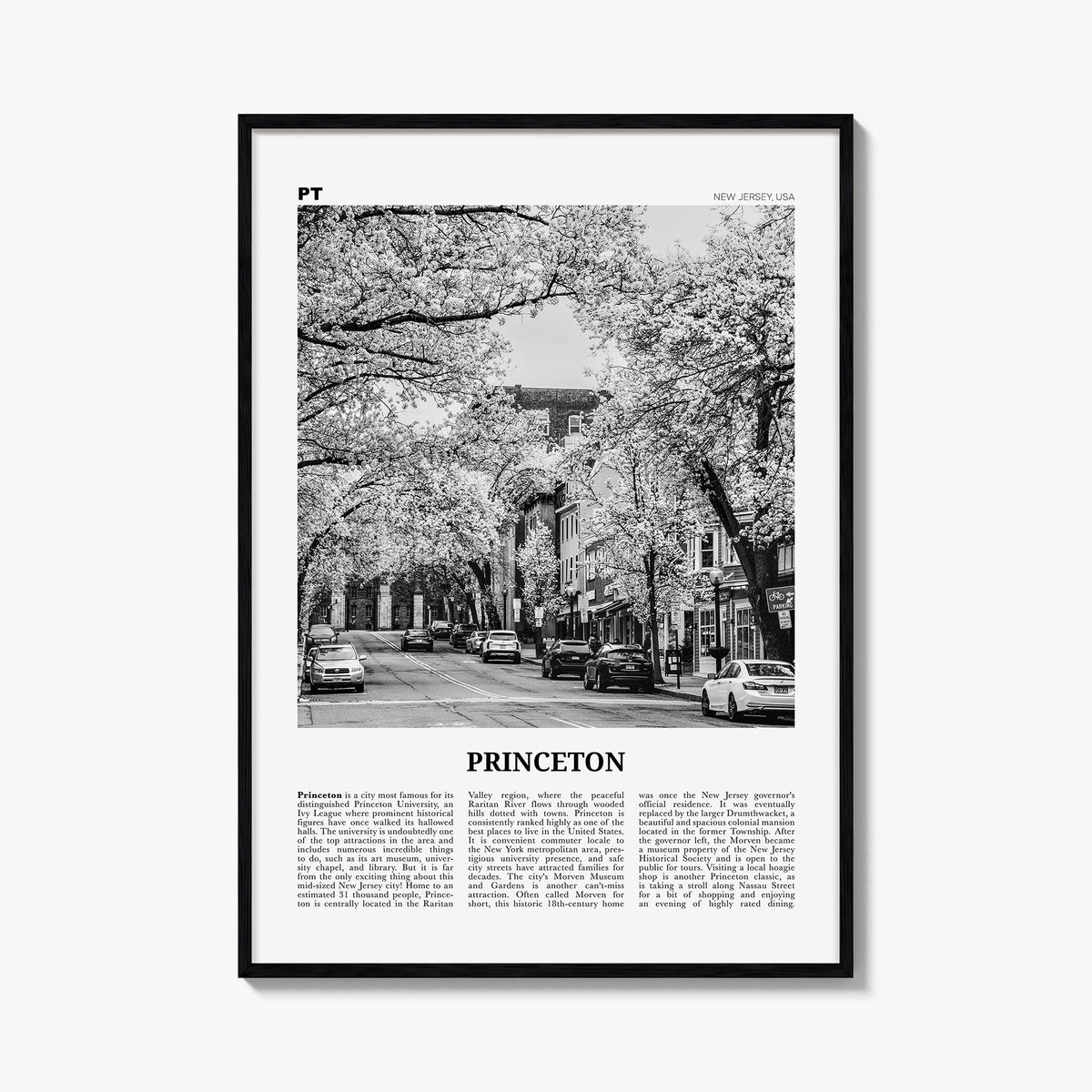 Princeton black & white newspaper poster of New Jersey, USA – vertical wall art, unframed print shown in interior mockup