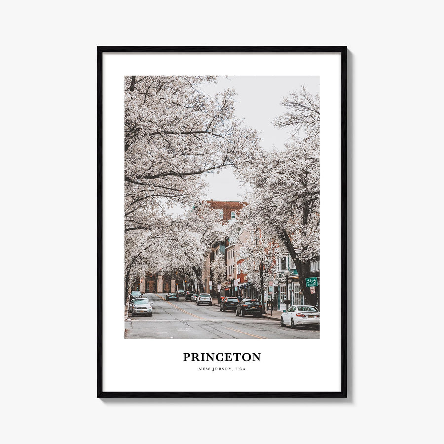 Princeton colorful classic poster of New Jersey, USA – vertical wall art, unframed print shown in interior mockup
