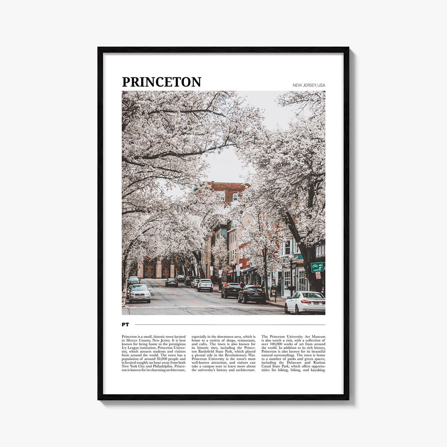 Princeton colorful travel poster of New Jersey, USA – vertical wall art, unframed print shown in interior mockup