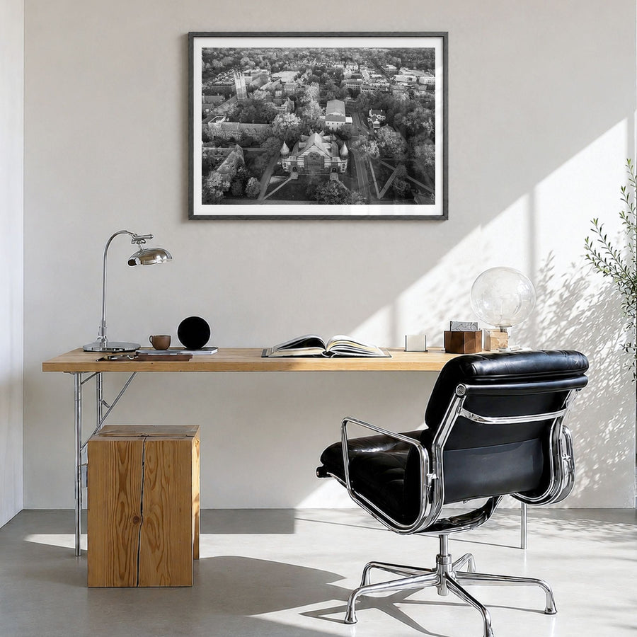 Princeton Photo Poster in a black wood frame, hanging in a bright home office, white border