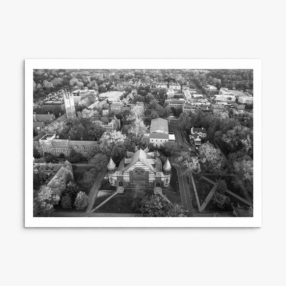 Princeton Photo Poster, print only (unframed), white border