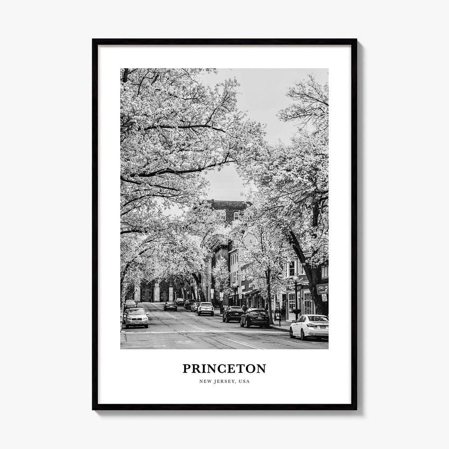 Princeton Classic Poster, framed poster mockup