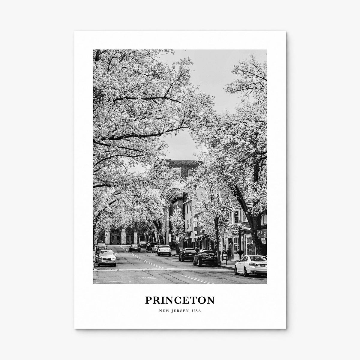 Princeton Classic Poster, print only (unframed)