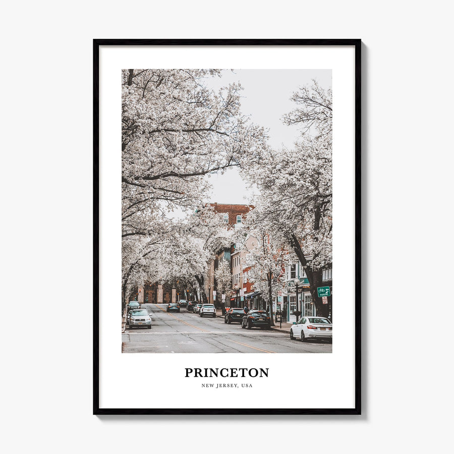 Princeton Classic Poster, framed poster mockup