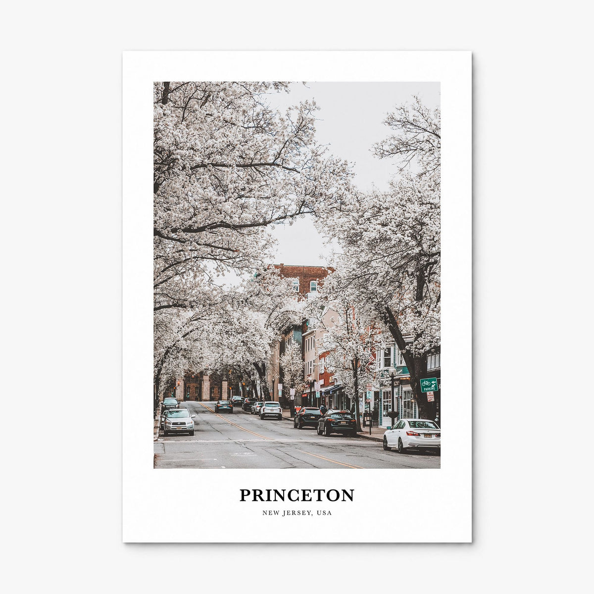 Princeton Classic Poster, print only (unframed)