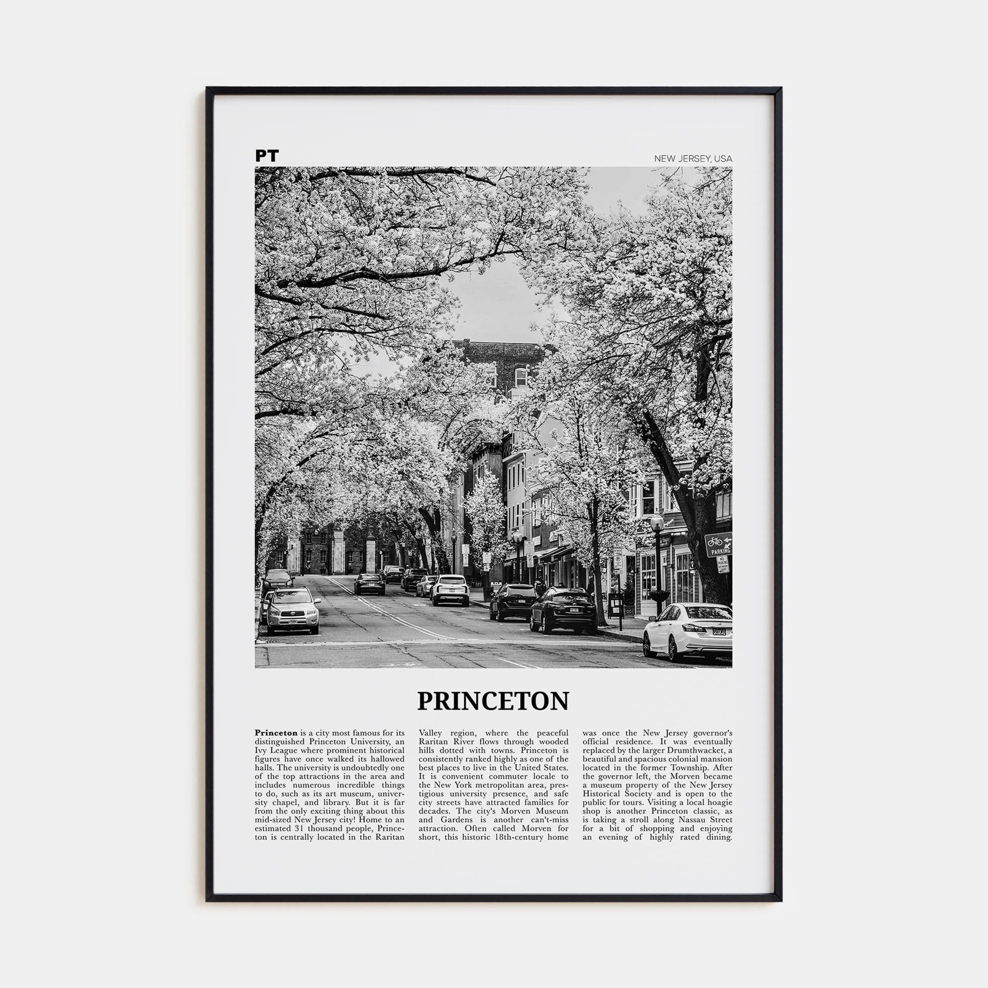 Princeton Poster Black Metal / 8x12 in Nbourhood Travel B&W Poster