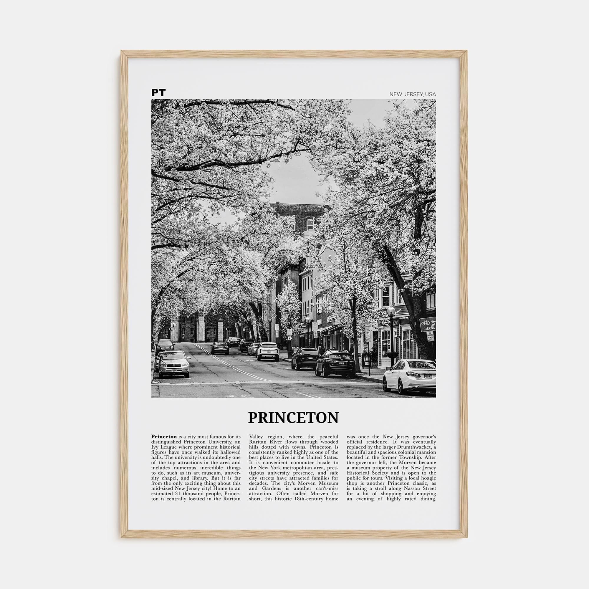 Princeton Poster Natural Wood / 8x12 in Nbourhood Travel B&W Poster