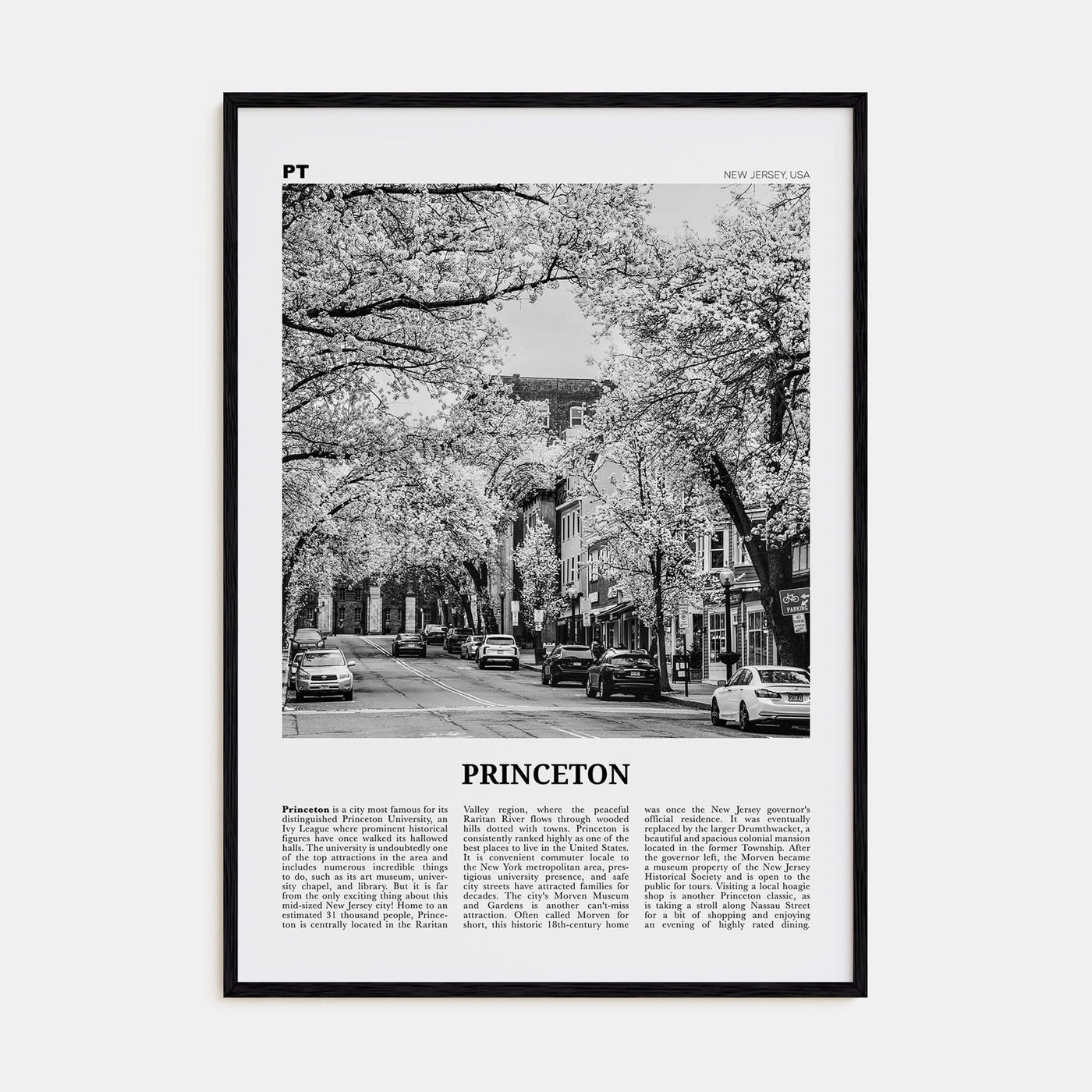 Princeton Poster Black Wood / 8x12 in Nbourhood Travel B&W Poster