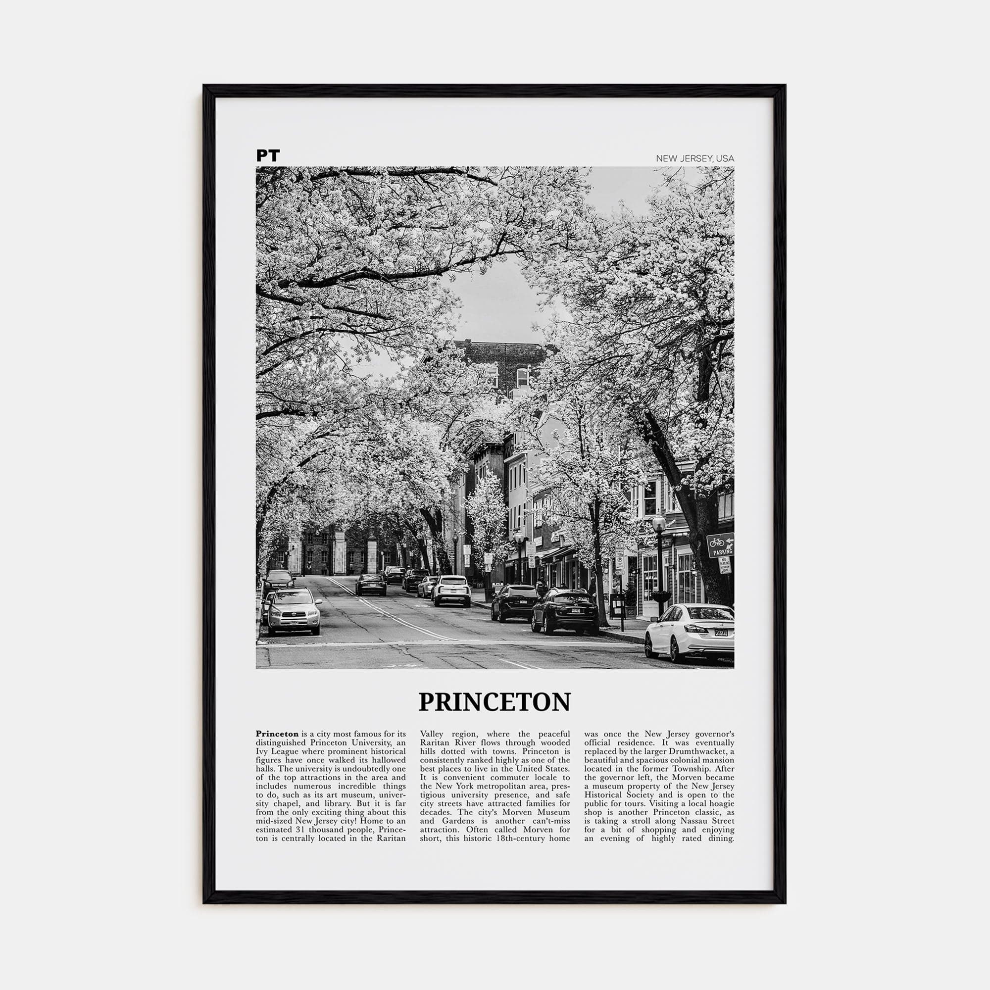 Princeton Poster Black Wood / 8x12 in Nbourhood Travel B&W Poster