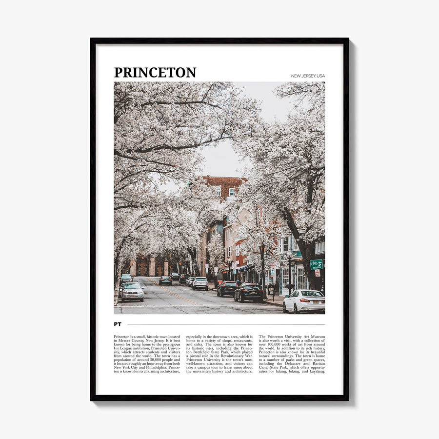 Princeton Travel Poster, framed poster mockup