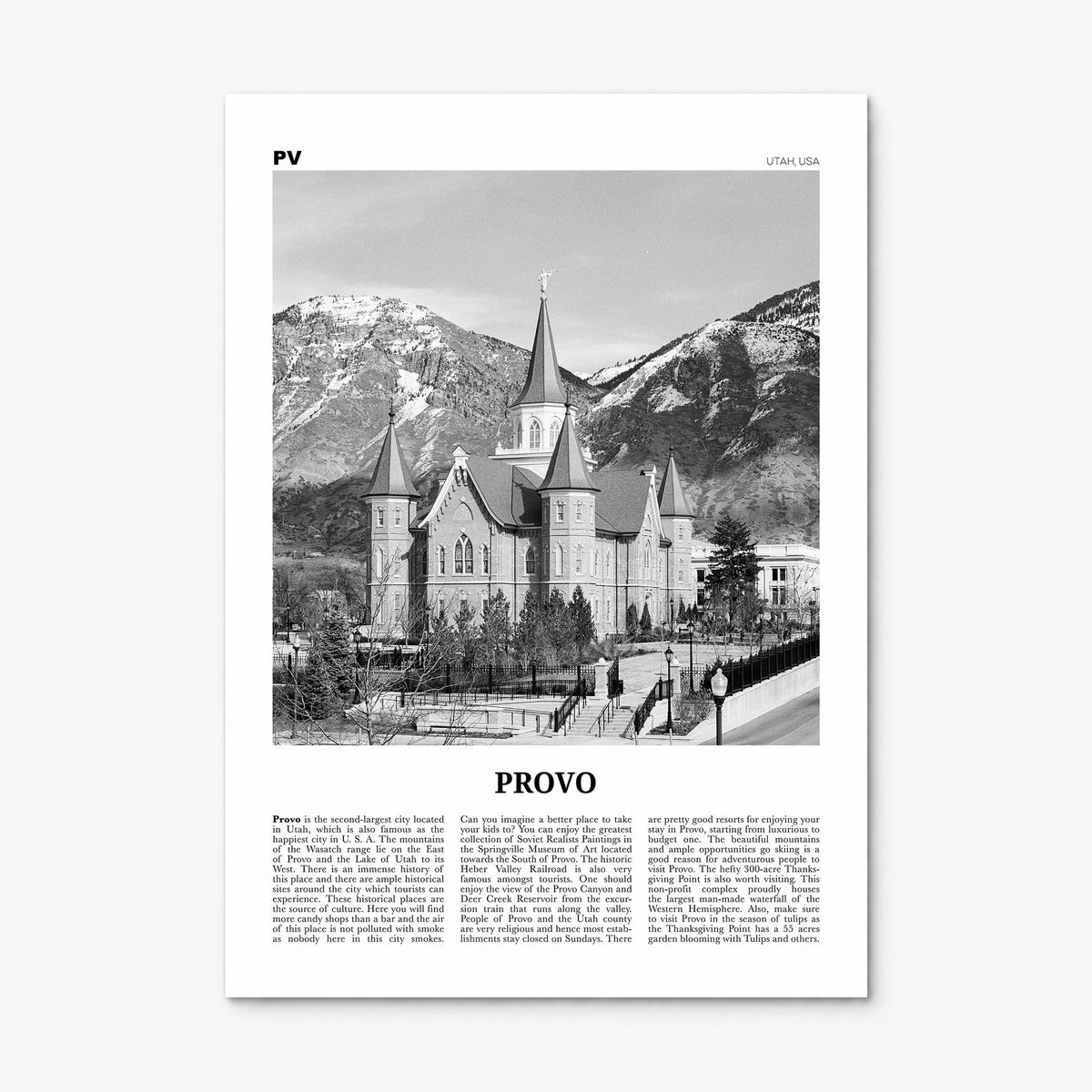 Provo Newspaper Poster, print only (unframed)
