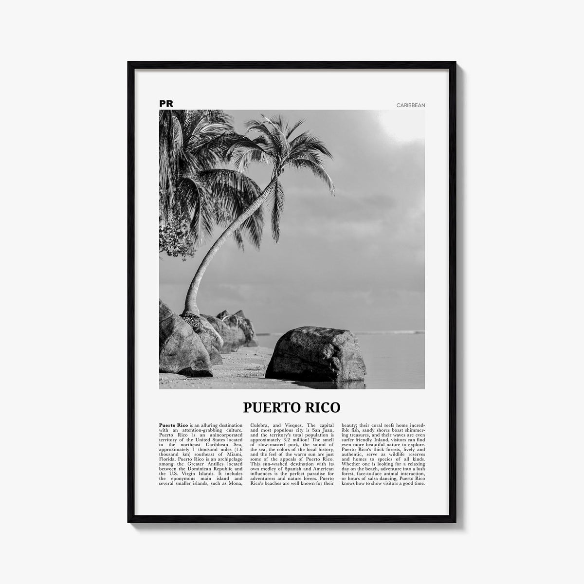 Puerto Rico Newspaper No 1 Poster