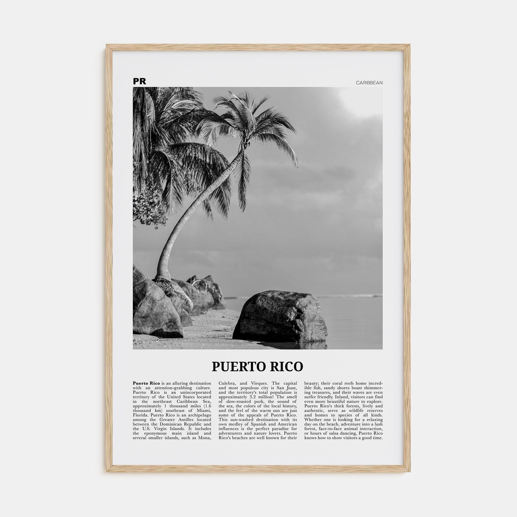 Puerto Rico No 1 Poster Natural Wood / 8x12 in Nbourhood Travel B&W Poster