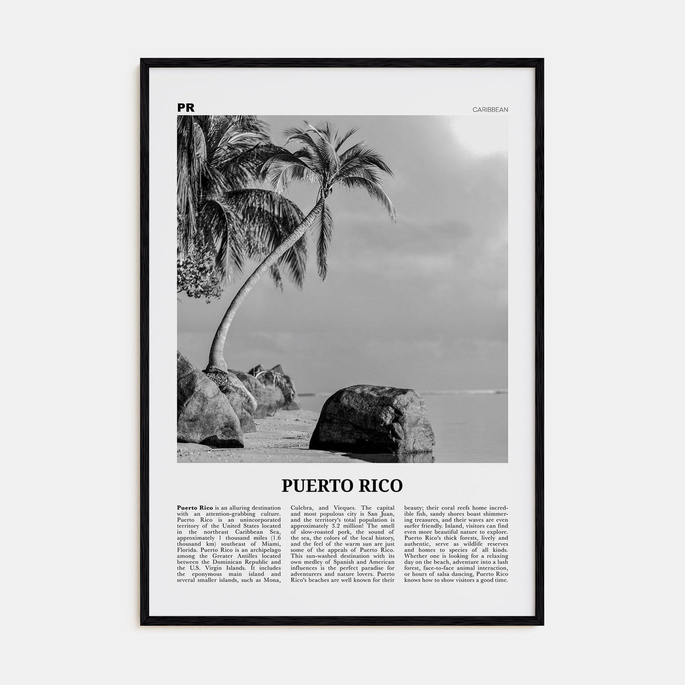 Puerto Rico No 1 Poster Black Wood / 8x12 in Nbourhood Travel B&W Poster