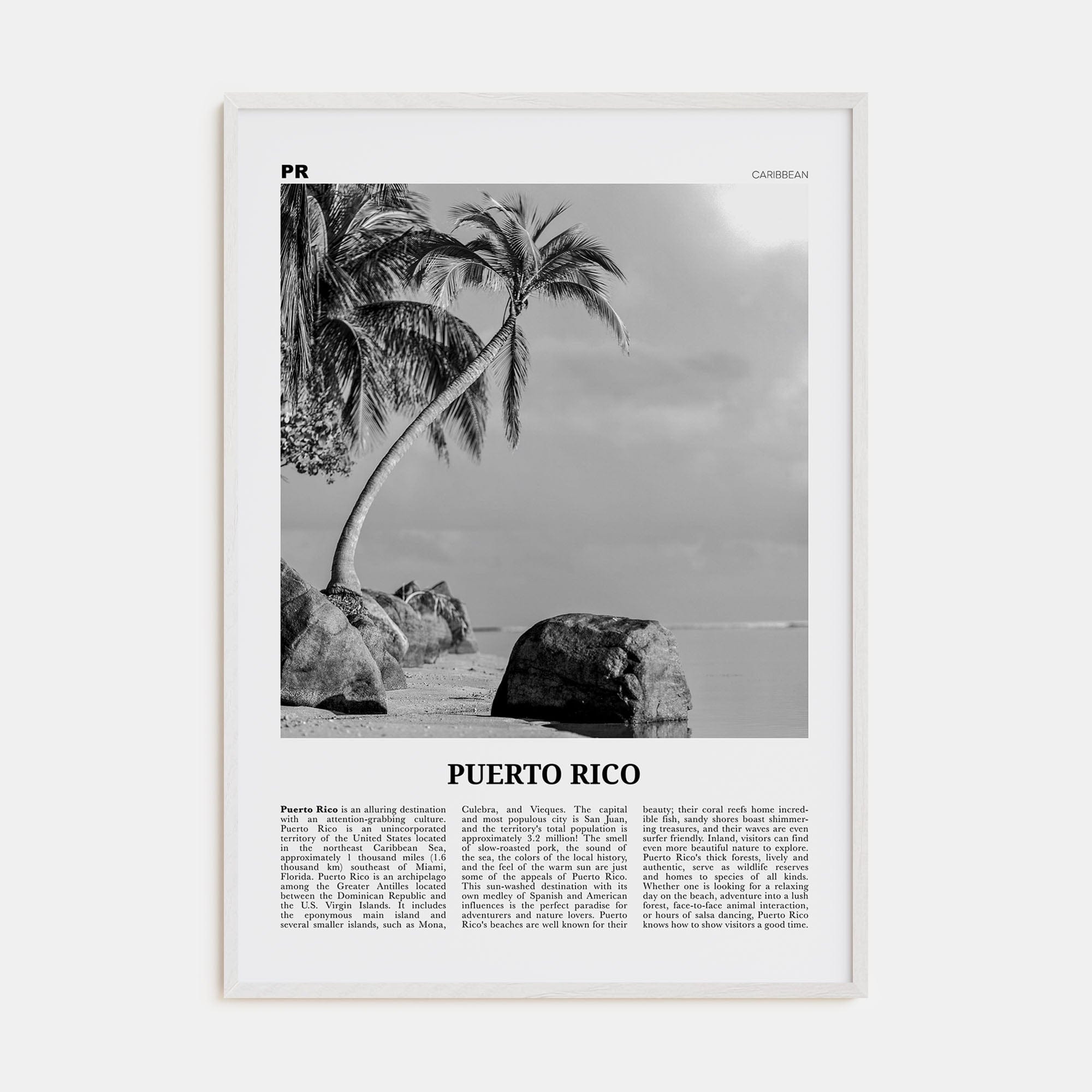 Puerto Rico No 1 Poster White Wood / 8x12 in Nbourhood Travel B&W Poster