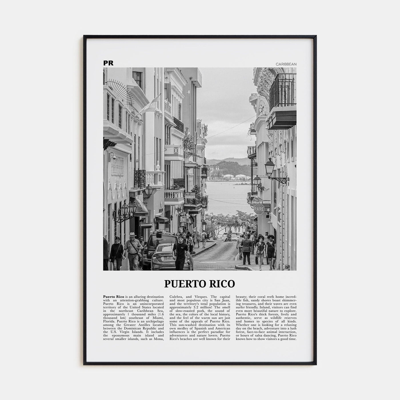 Puerto Rico No 2 Poster Black Metal / 8x12 in Nbourhood Travel B&W Poster