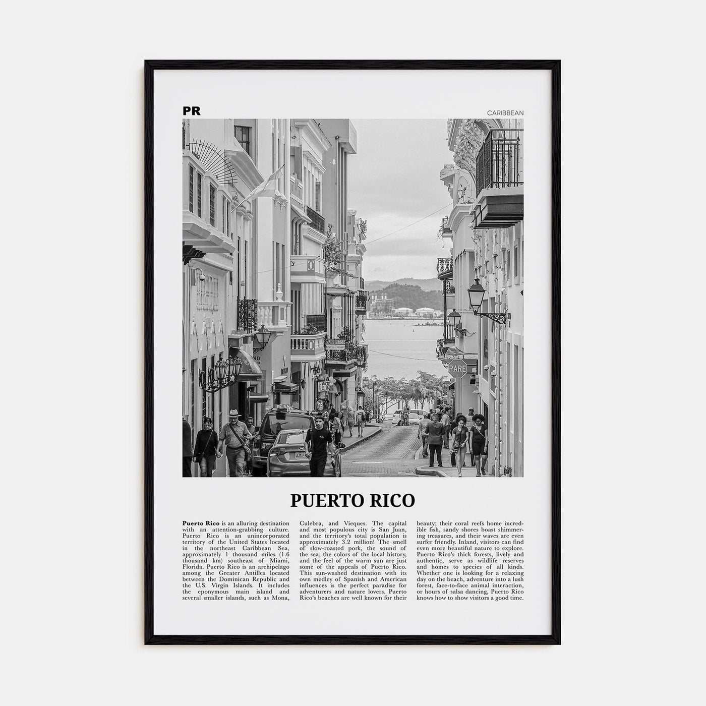 Puerto Rico No 2 Poster Black Wood / 8x12 in Nbourhood Travel B&W Poster