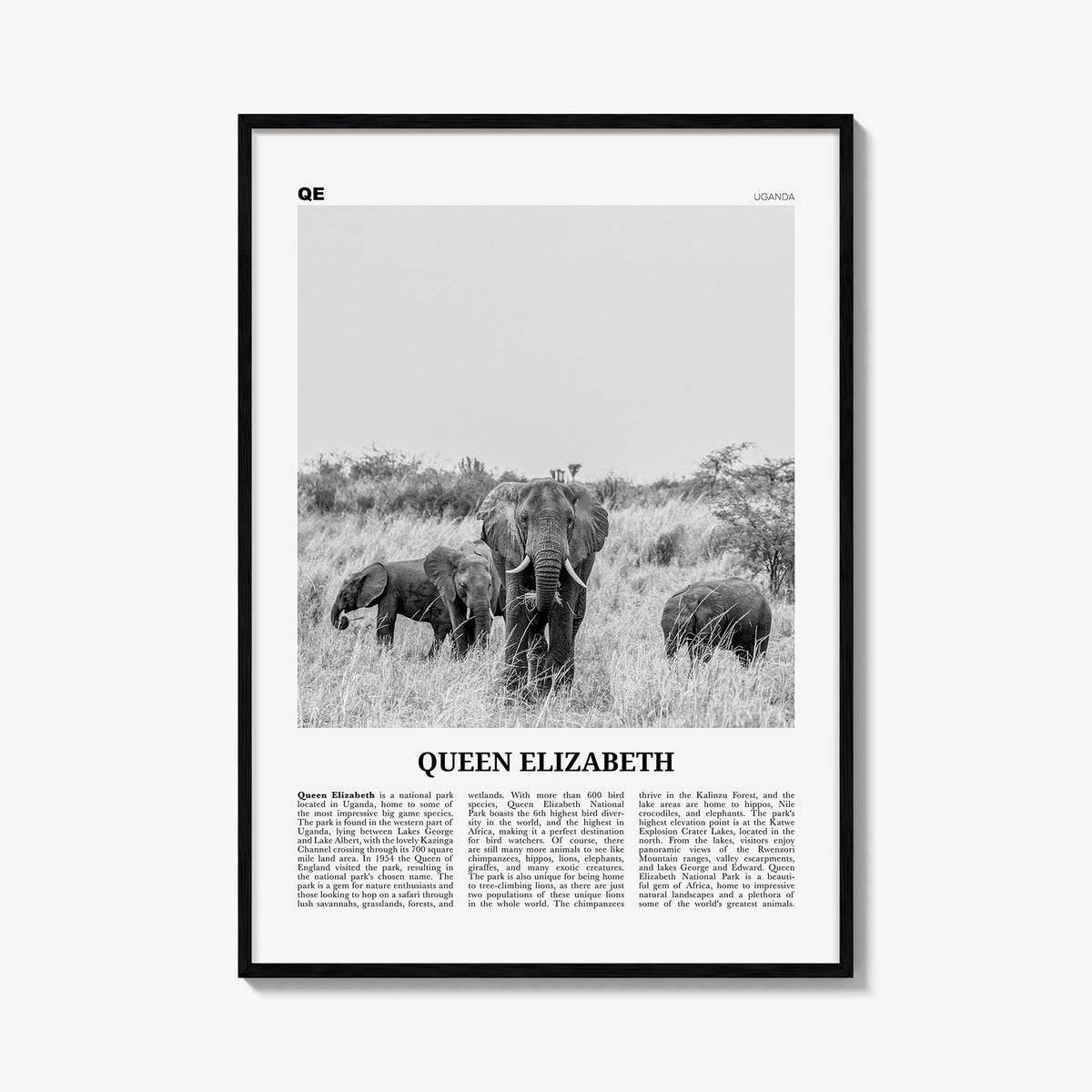 Queen Elizabeth National Park black & white newspaper poster of Uganda – vertical wall art, unframed print shown in interior 
