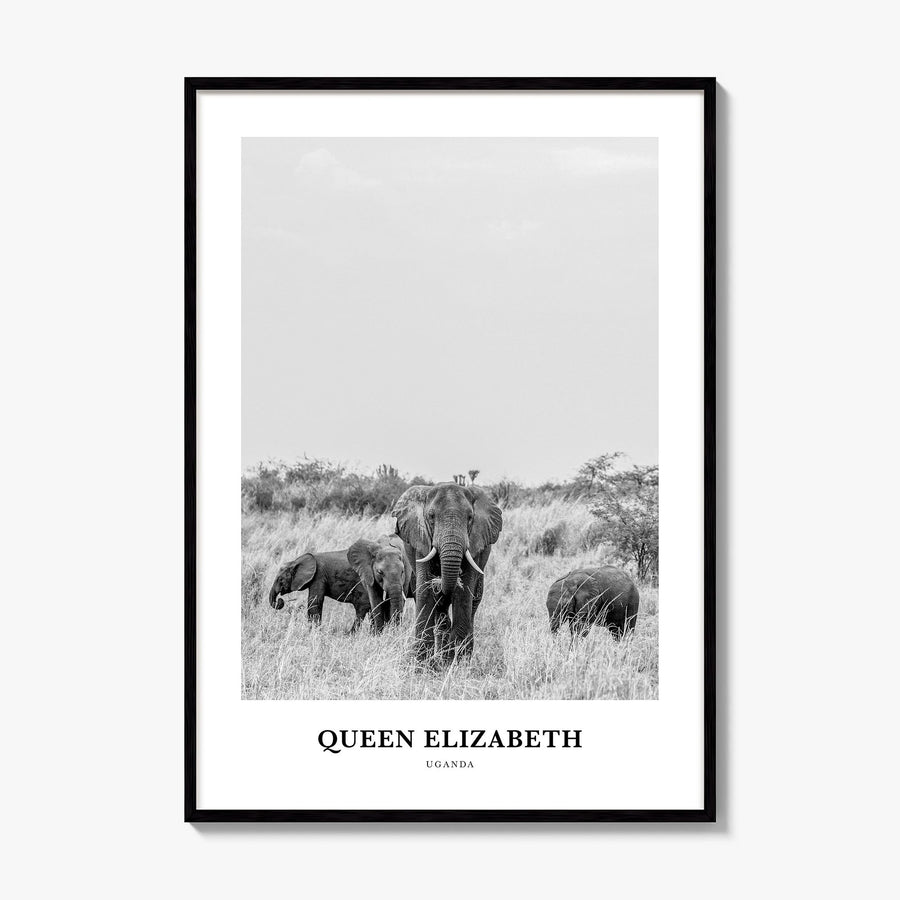 Queen Elizabeth National Park Classic Poster, framed poster mockup