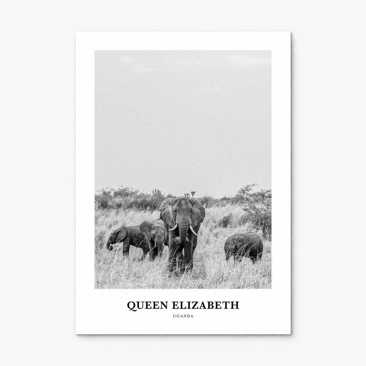 Queen Elizabeth National Park Classic Poster, print only (unframed)