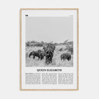 Queen Elizabeth National Park Poster Natural Wood / 8x12 in Nbourhood Travel B&W Poster