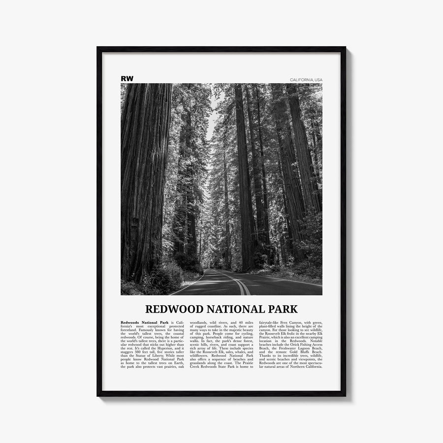 Redwood National Park no. 1 black & white newspaper poster of California, USA – vertical wall art, unframed print shown in in