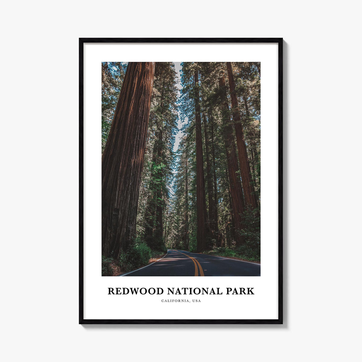 Redwood National Park no. 1 colorful classic poster of California, USA – vertical wall art, unframed print shown in interior 