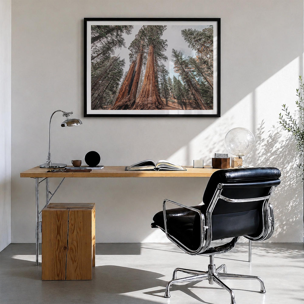 Redwood National Park colorful photo poster of California, USA – horizontal wall art in black wood frame with white border, h