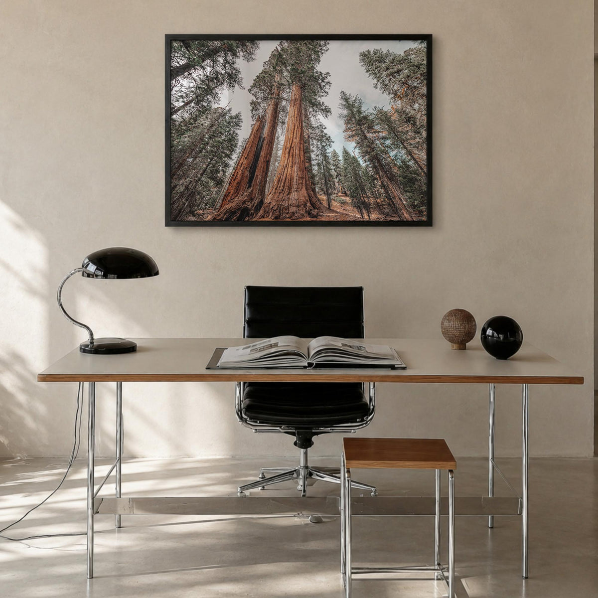 Redwood National Park colorful photo poster of California, USA – horizontal wall art in black wood frame, hanging on wall