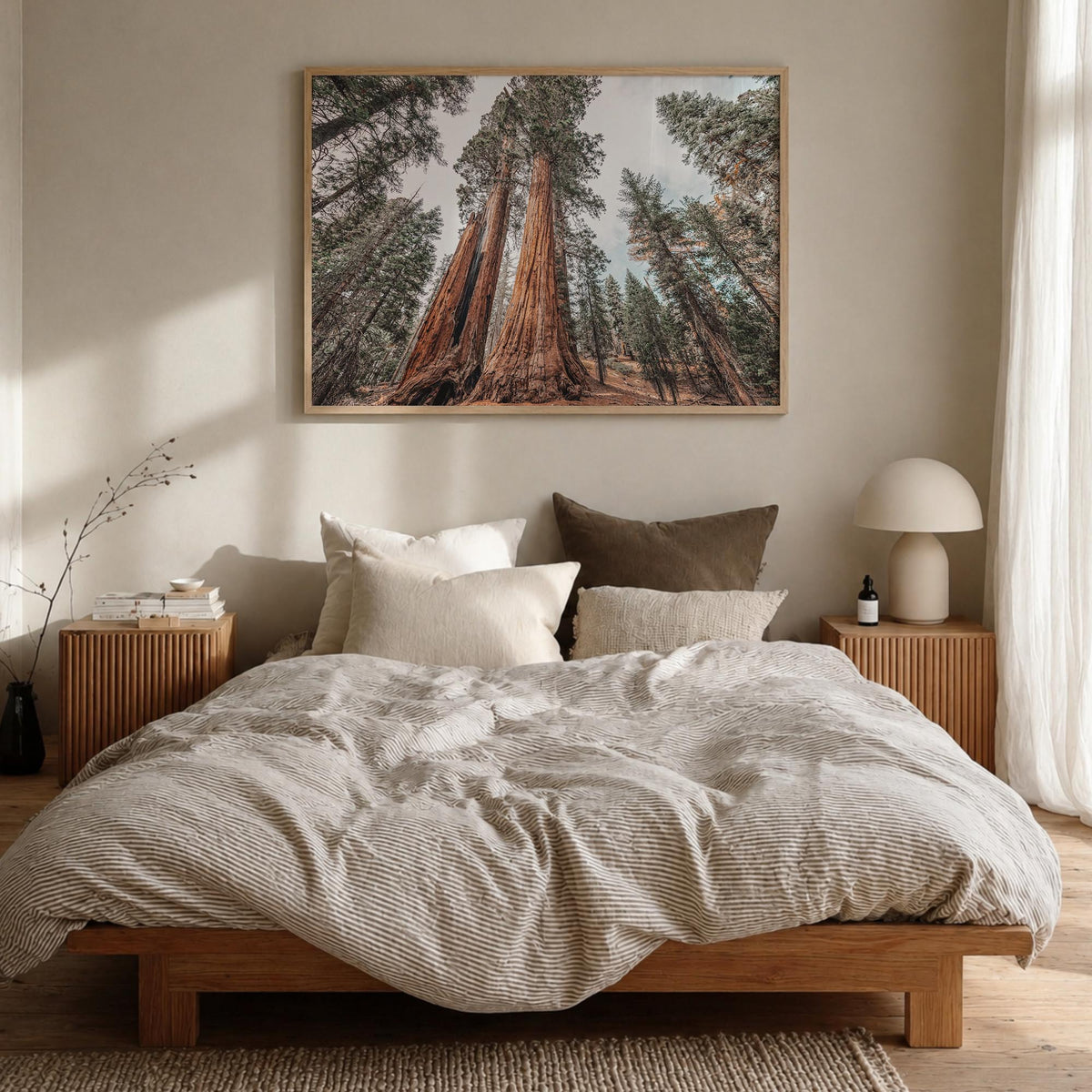 Redwood National Park colorful photo poster of California, USA – horizontal wall art in natural wood frame, hanging on wall