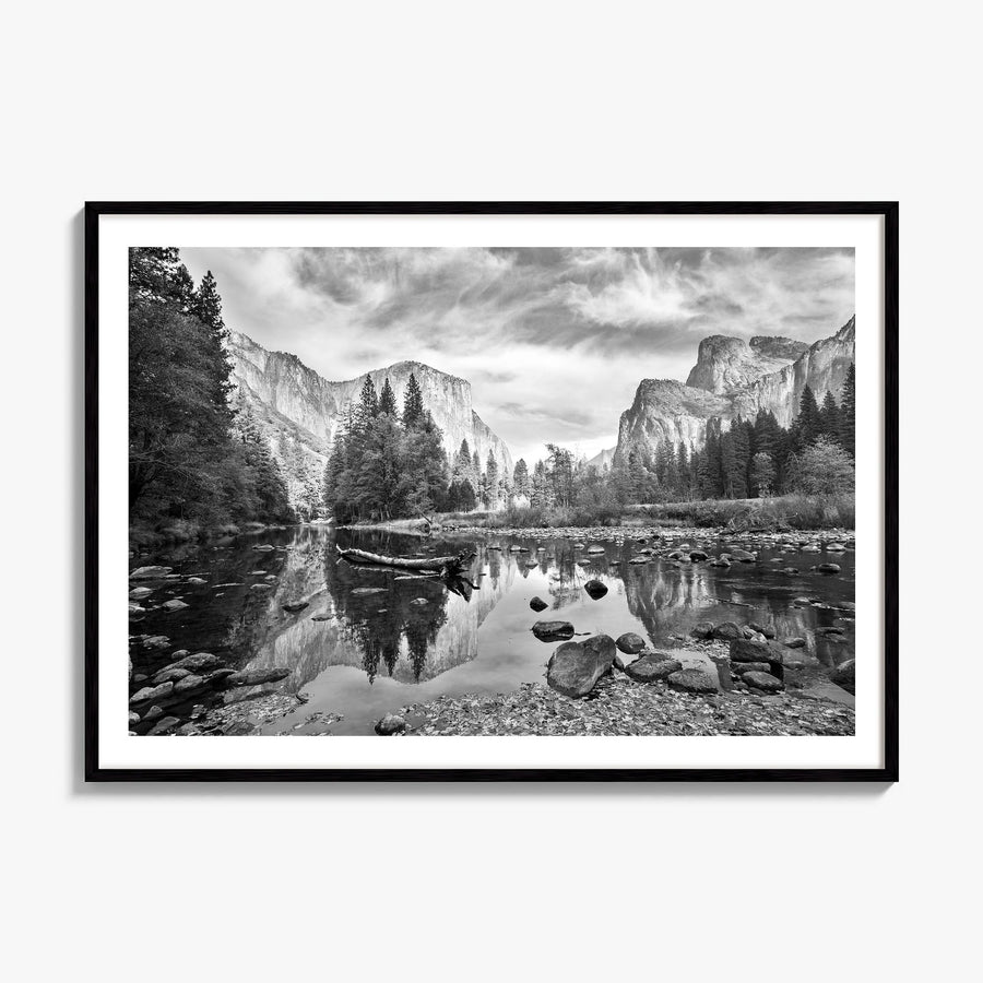 Redwood National Park Photo Poster, framed poster mockup, white border