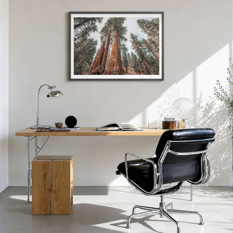 Redwood National Park Photo Poster in a black wood frame, hanging in a bright home office, white border