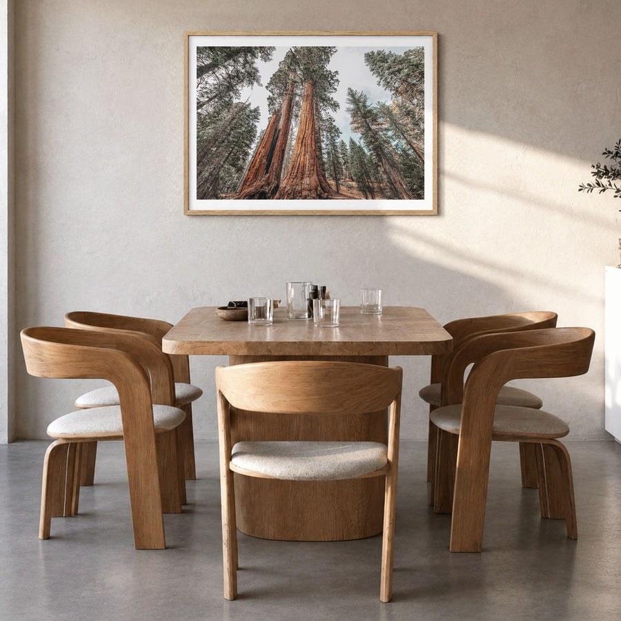 Redwood National Park Photo Poster in a natural wood frame, hanging in a dining room, white border