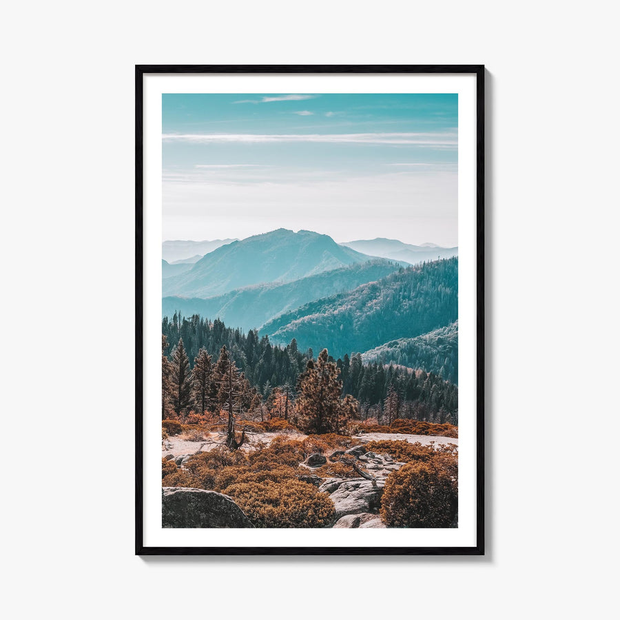 Redwood National Park no. 1 colorful photo poster of California, USA – vertical wall art, unframed print shown in interior mo