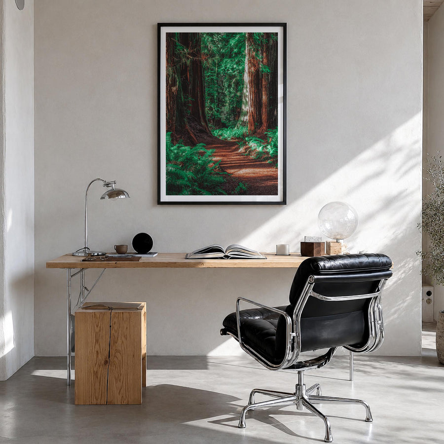 Redwood National Park no. 2 colorful photo poster of California, USA – vertical wall art in black wood frame with white borde