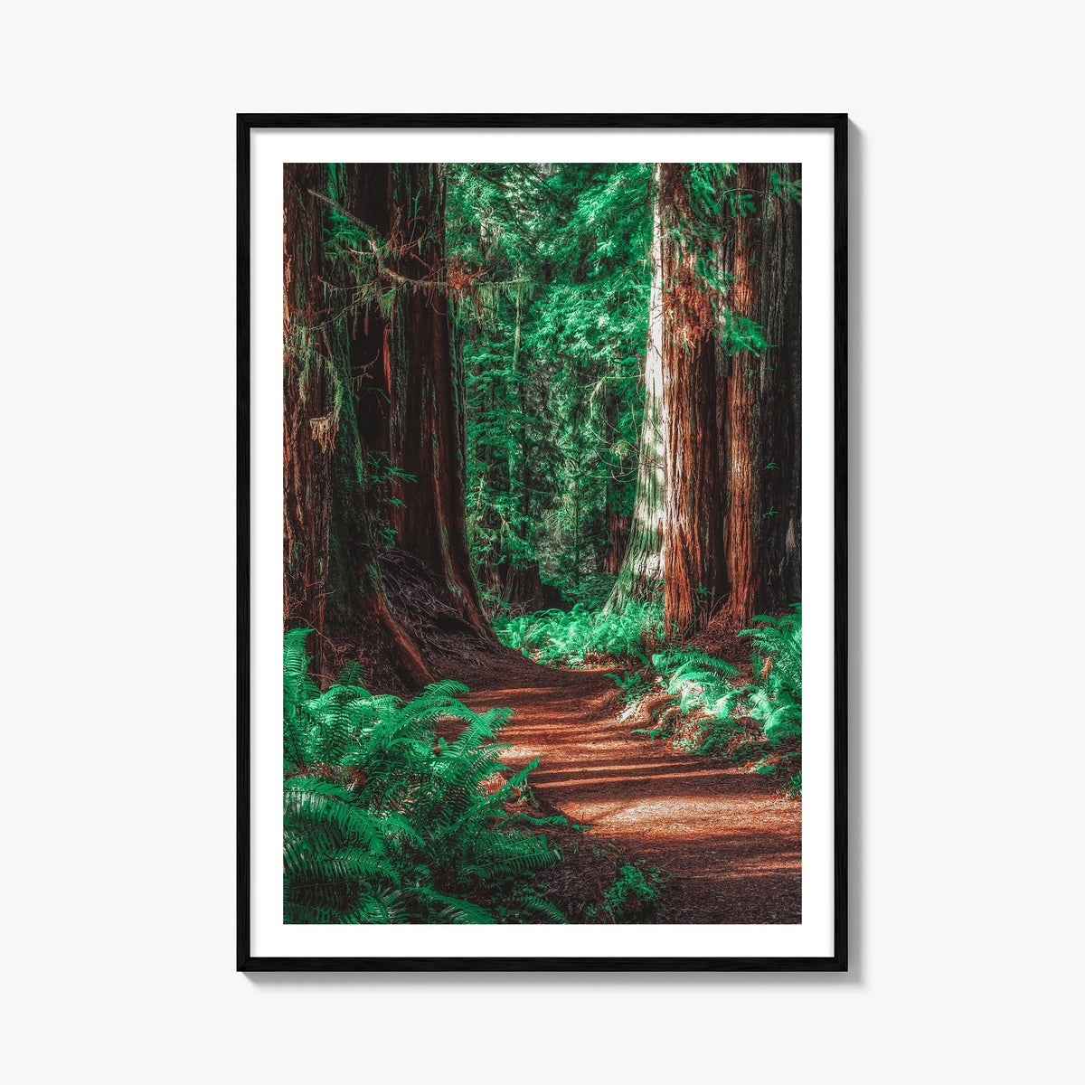 Redwood National Park no. 2 colorful photo poster of California, USA – vertical wall art, unframed print shown in interior mo