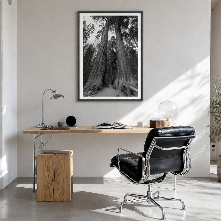 Redwood National Park Photo Poster in a black wood frame, hanging in a bright home office, white border
